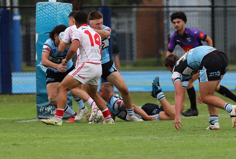 HMC Rnd 8 SHARKS vs DRAGONS