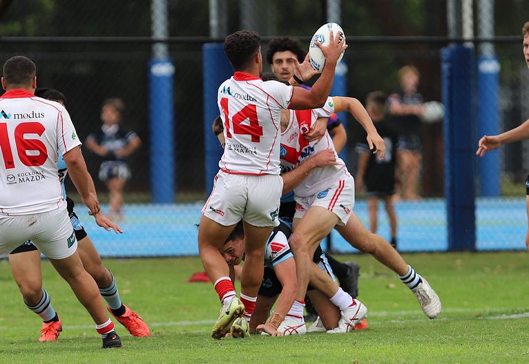 HMC Rnd 8 SHARKS vs DRAGONS