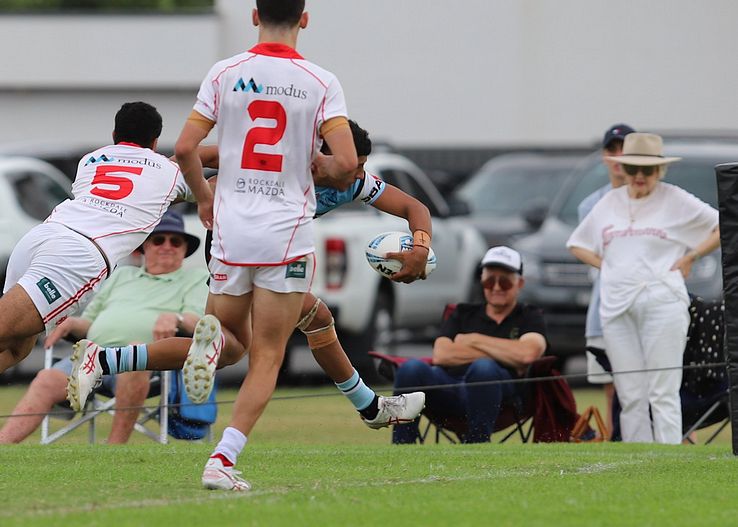 HMC Rnd 8 SHARKS vs DRAGONS