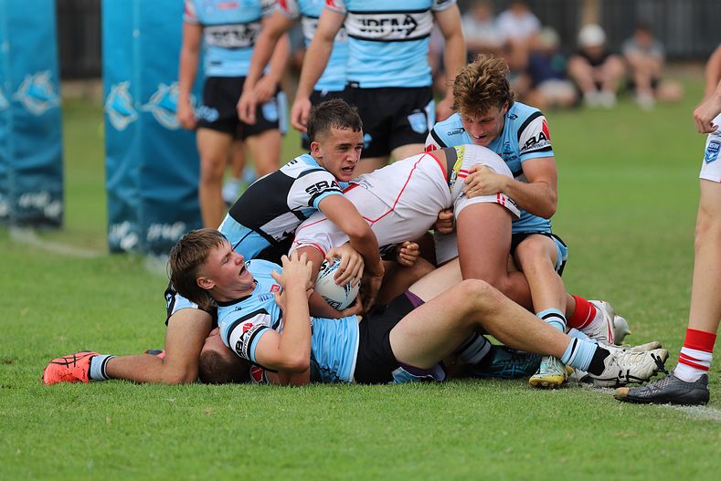 HMC Rnd 8 SHARKS vs DRAGONS