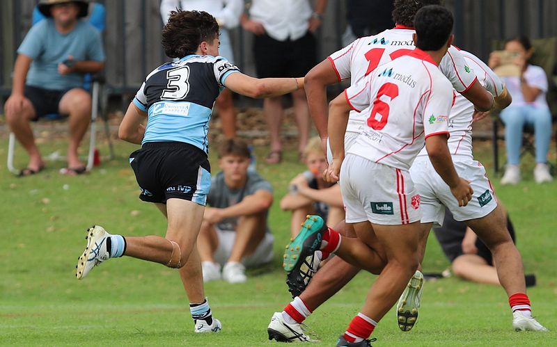 HMC Rnd 8 SHARKS vs DRAGONS