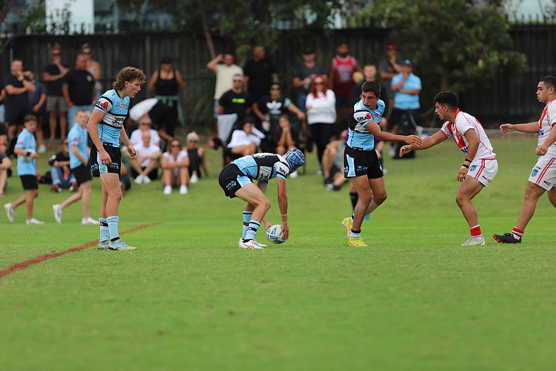 HMC Rnd 8 SHARKS vs DRAGONS