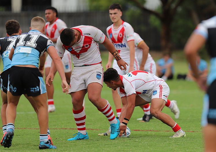 HMC Rnd 8 SHARKS vs DRAGONS