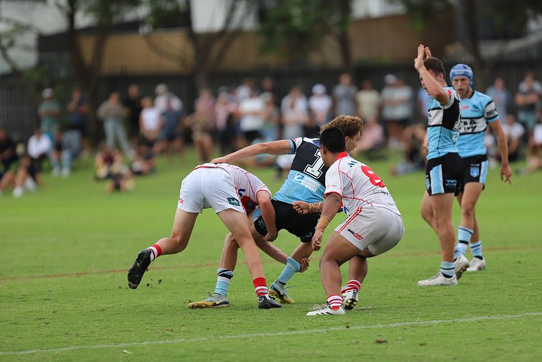 HMC Rnd 8 SHARKS vs DRAGONS