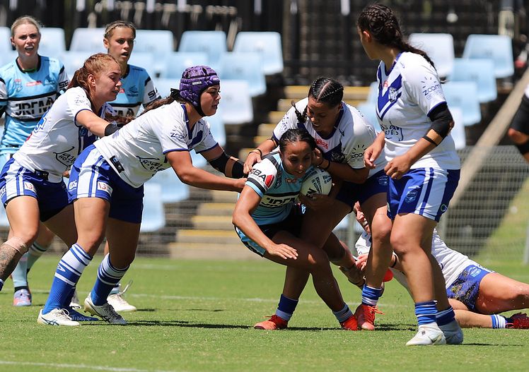 HNWP Rnd 4 SHARKS vs BULLDOGS