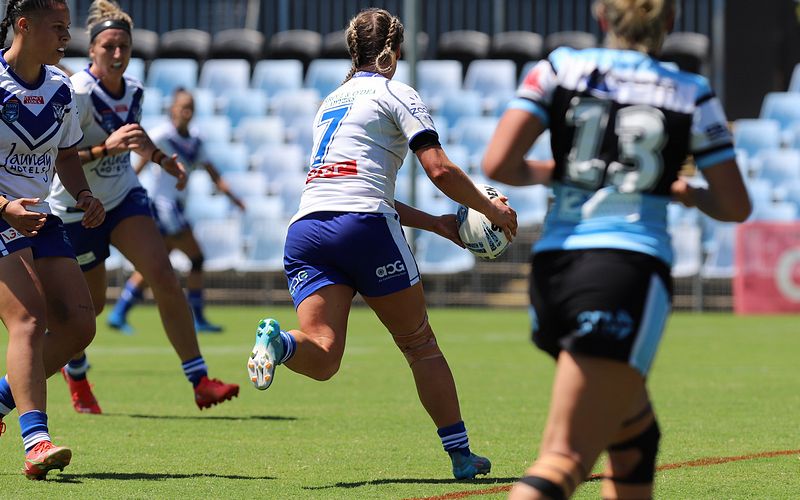 HNWP Rnd 4 SHARKS vs BULLDOGS