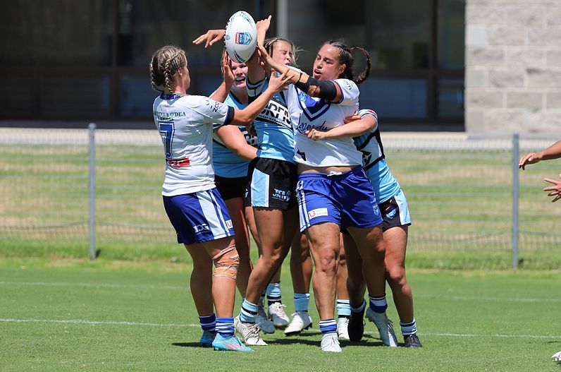 HNWP Rnd 4 SHARKS vs BULLDOGS
