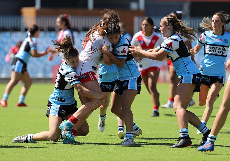 TGC Rnd 4 SHARKS vs DRAGONS