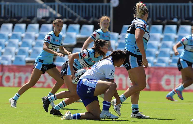 HNWP Rnd 4 SHARKS vs BULLDOGS