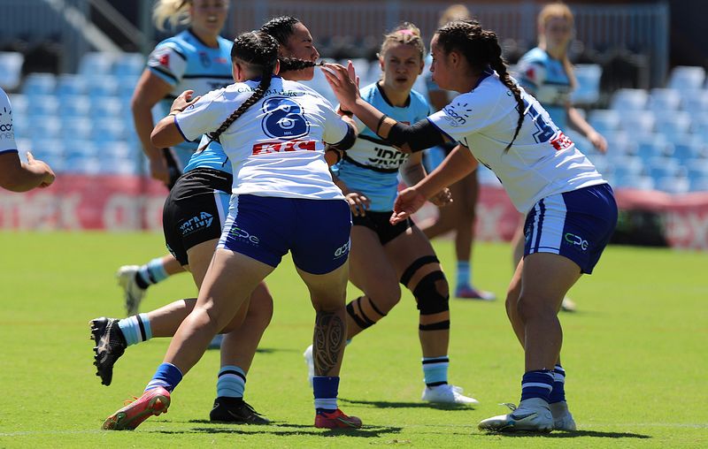 HNWP Rnd 4 SHARKS vs BULLDOGS