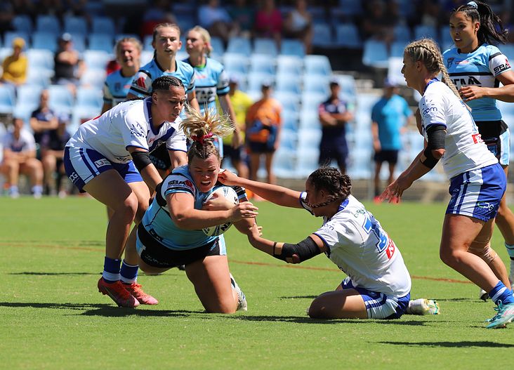 HNWP Rnd 4 SHARKS vs BULLDOGS