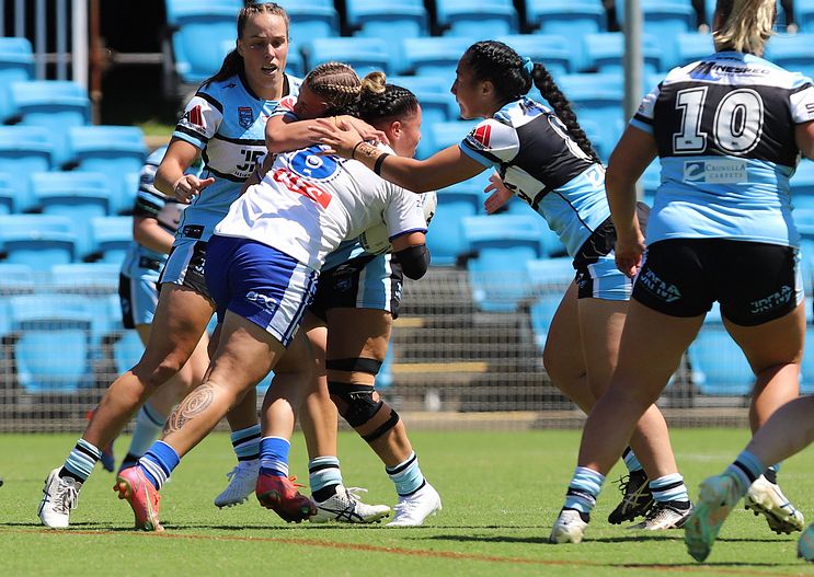 HNWP Rnd 4 SHARKS vs BULLDOGS