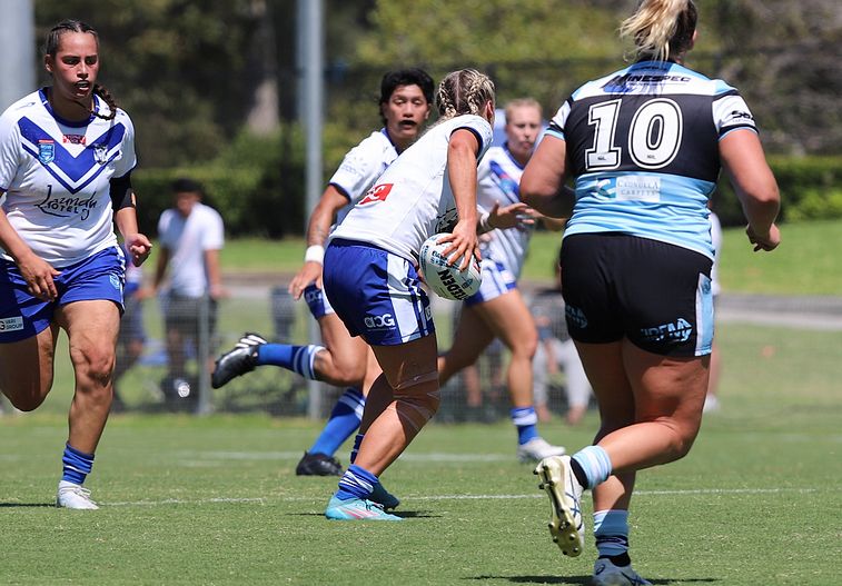 HNWP Rnd 4 SHARKS vs BULLDOGS