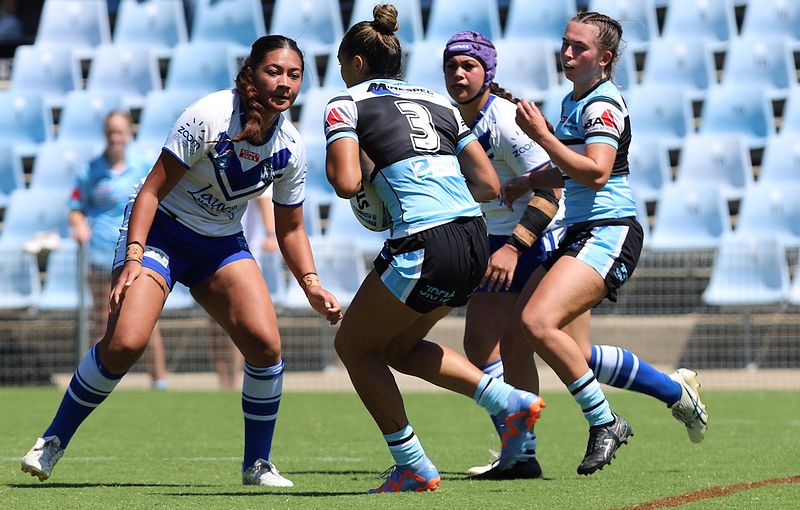 HNWP Rnd 4 SHARKS vs BULLDOGS