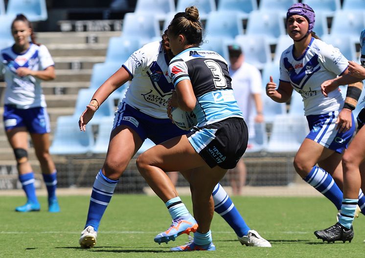HNWP Rnd 4 SHARKS vs BULLDOGS