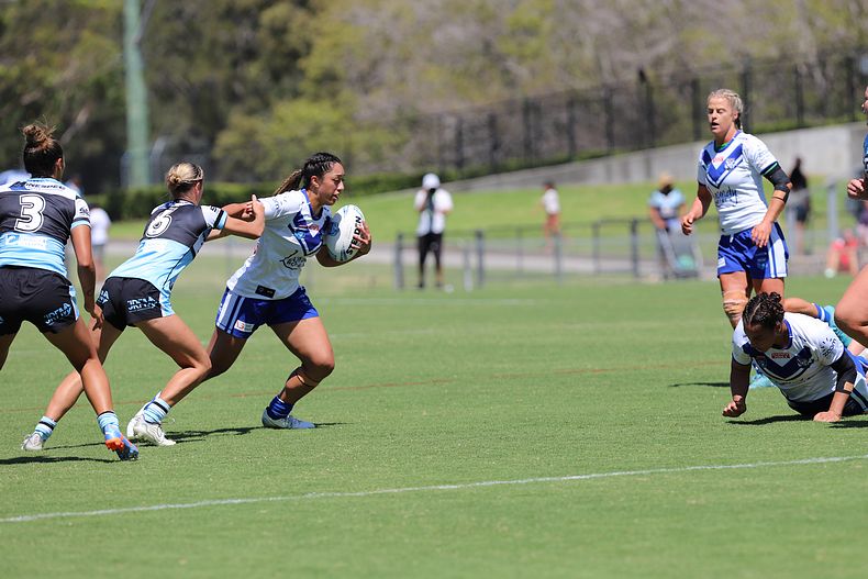 HNWP Rnd 4 SHARKS vs BULLDOGS