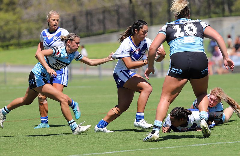 HNWP Rnd 4 SHARKS vs BULLDOGS