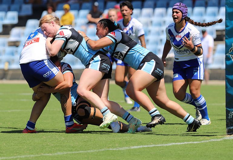 HNWP Rnd 4 SHARKS vs BULLDOGS