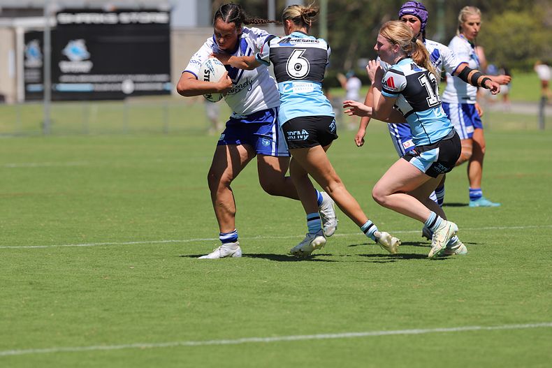 HNWP Rnd 4 SHARKS vs BULLDOGS
