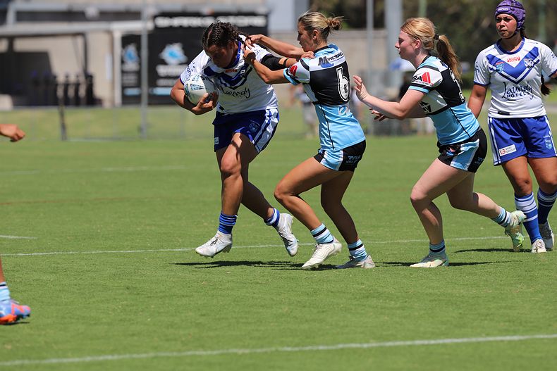 HNWP Rnd 4 SHARKS vs BULLDOGS