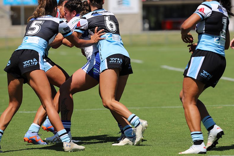 HNWP Rnd 4 SHARKS vs BULLDOGS