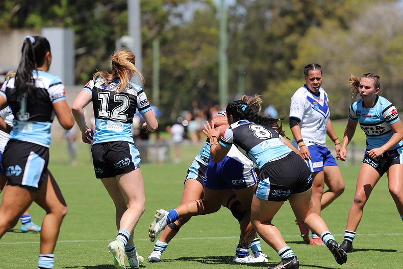 HNWP Rnd 4 SHARKS vs BULLDOGS