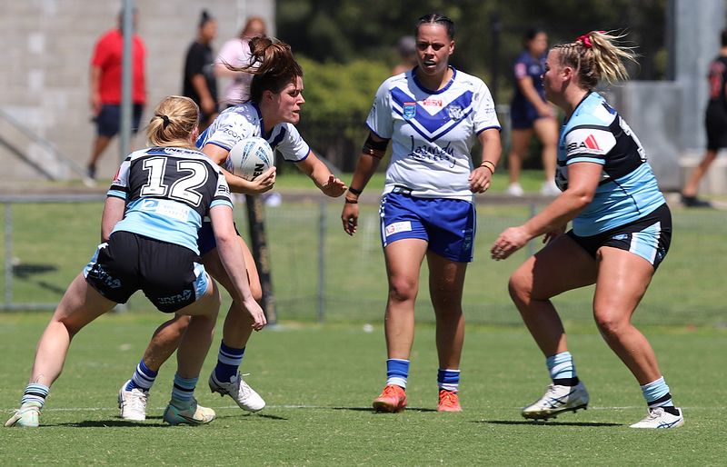 HNWP Rnd 4 SHARKS vs BULLDOGS