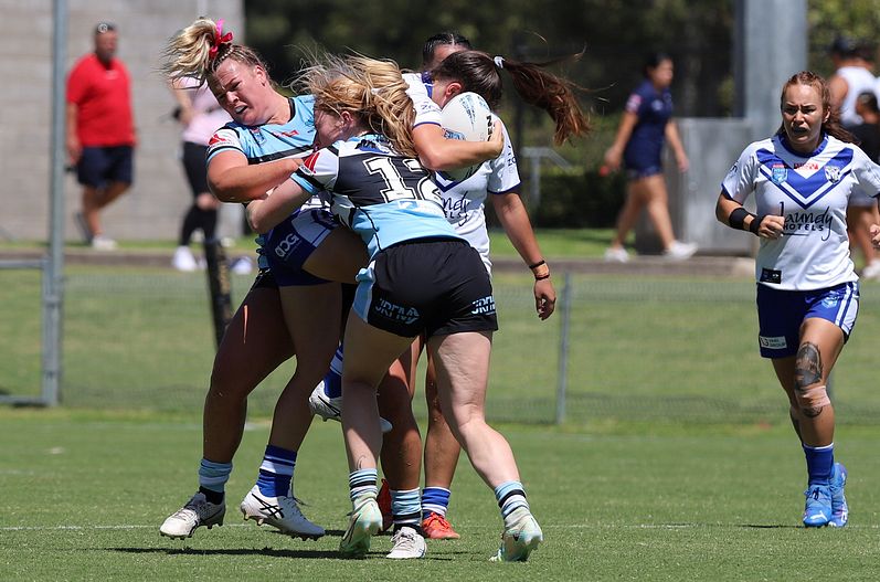HNWP Rnd 4 SHARKS vs BULLDOGS