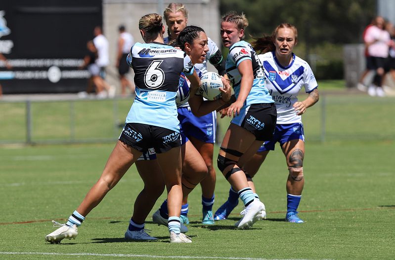 HNWP Rnd 4 SHARKS vs BULLDOGS
