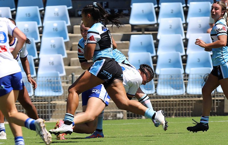 HNWP Rnd 4 SHARKS vs BULLDOGS