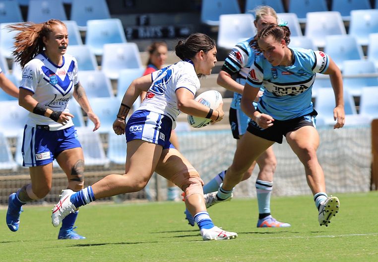 HNWP Rnd 4 SHARKS vs BULLDOGS