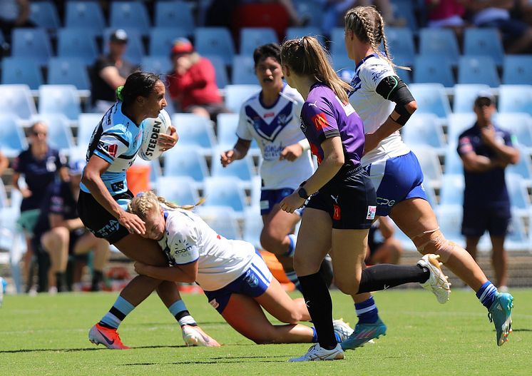 HNWP Rnd 4 SHARKS vs BULLDOGS