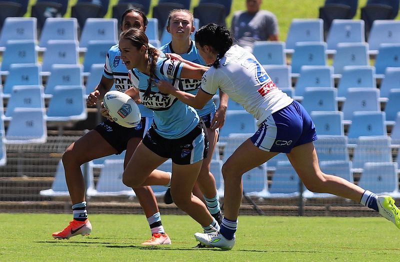 HNWP Rnd 4 SHARKS vs BULLDOGS