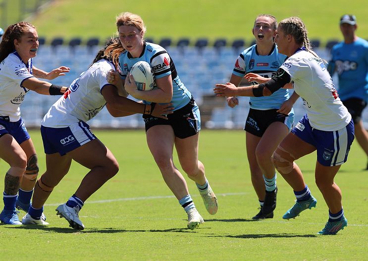 HNWP Rnd 4 SHARKS vs BULLDOGS