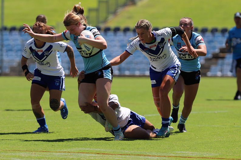 HNWP Rnd 4 SHARKS vs BULLDOGS
