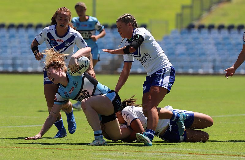 HNWP Rnd 4 SHARKS vs BULLDOGS