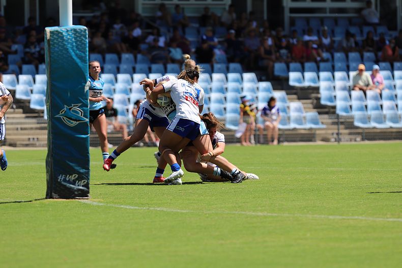 HNWP Rnd 4 SHARKS vs BULLDOGS