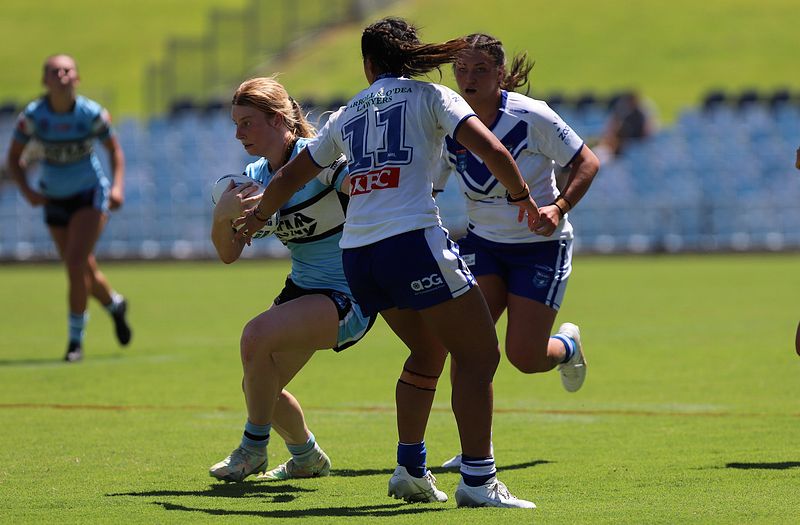 HNWP Rnd 4 SHARKS vs BULLDOGS