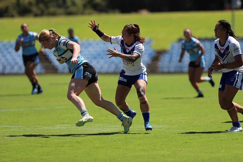 HNWP Rnd 4 SHARKS vs BULLDOGS
