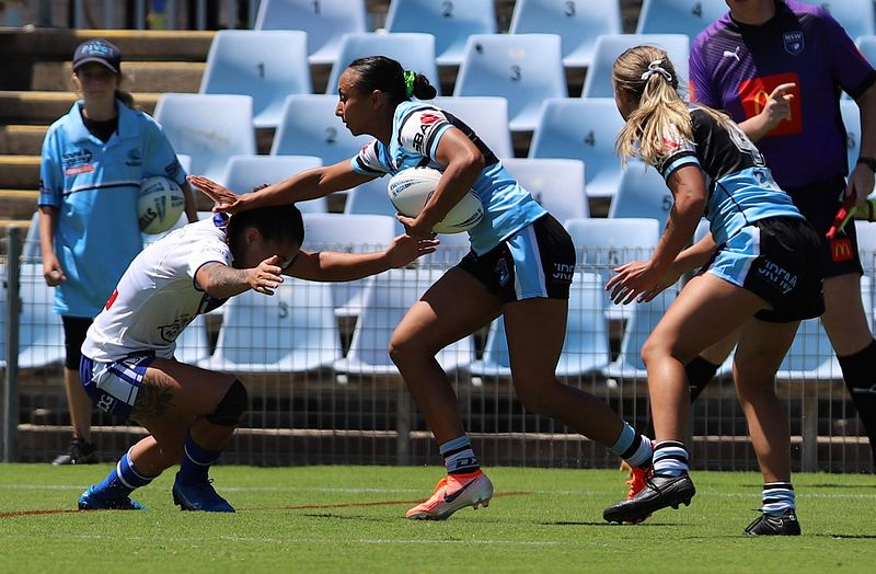 HNWP Rnd 4 SHARKS vs BULLDOGS