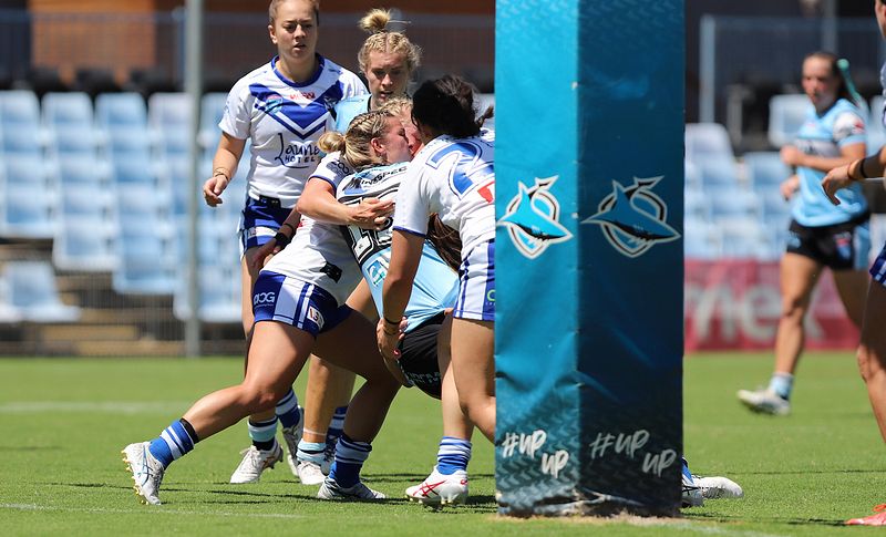 HNWP Rnd 4 SHARKS vs BULLDOGS