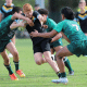 Great day for Sydney schoolboy footy (Photo's : Steve Montgomery)
