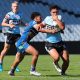 Sharks Matts brave but bow out (Photo : Steve Montgomery)