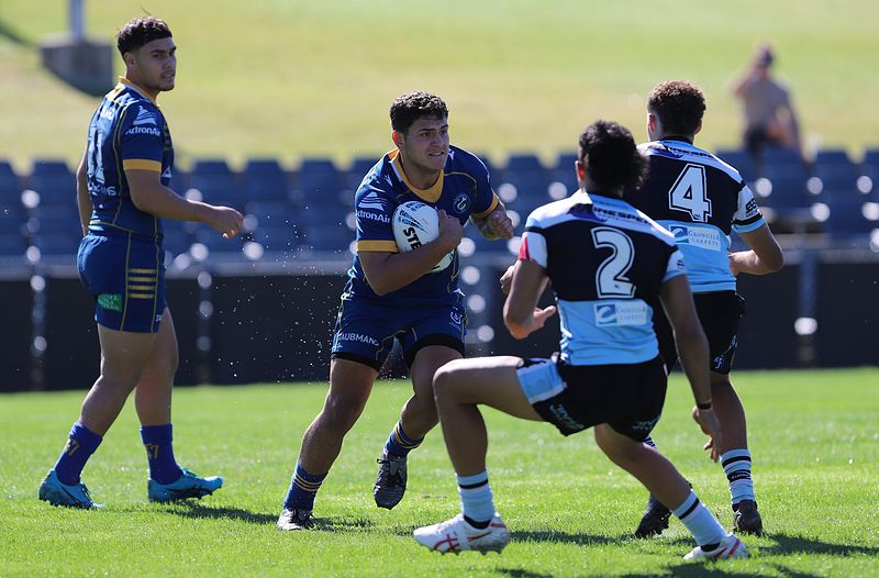 HMC Elimination Final EELS vs SHARKS