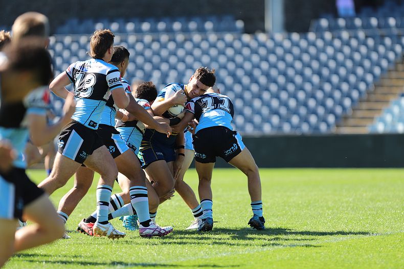 HMC Elimination Final EELS vs SHARKS