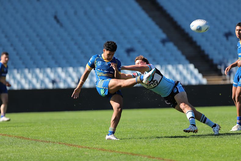 HMC Elimination Final EELS vs SHARKS