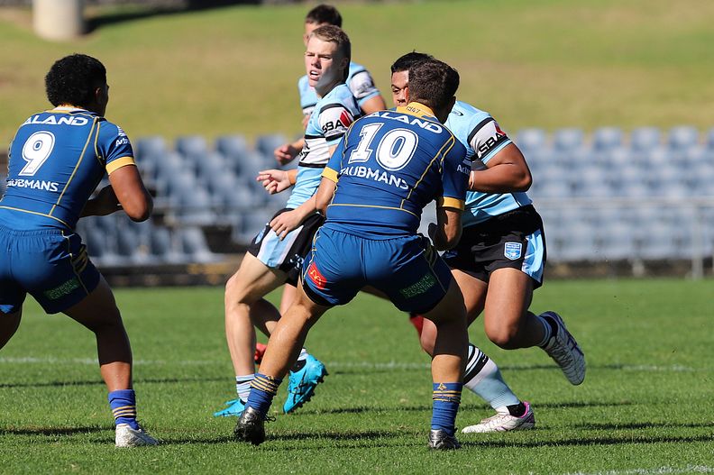 HMC Elimination Final EELS vs SHARKS