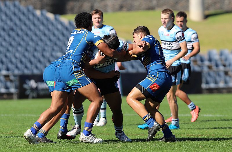 HMC Elimination Final EELS vs SHARKS