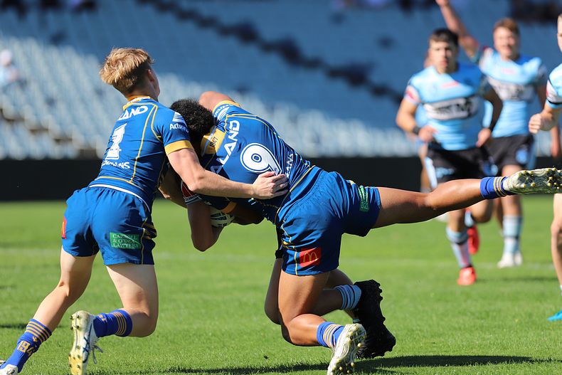 HMC Elimination Final EELS vs SHARKS