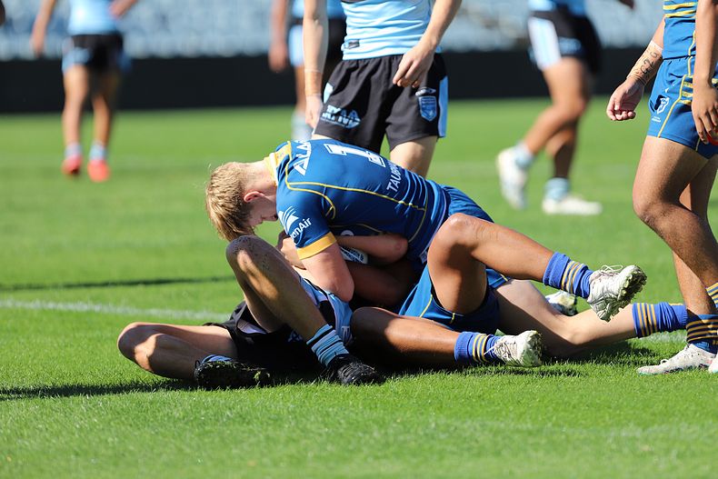 HMC Elimination Final EELS vs SHARKS
